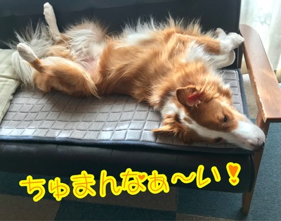 5517F0BA-76B2-451F-9DDC-967F6A89BFC5