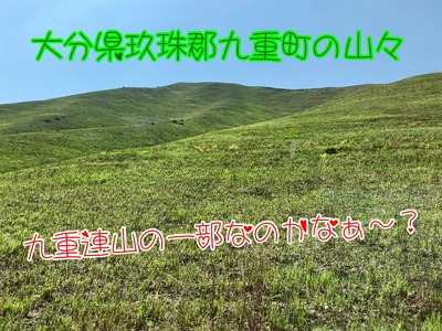 13E9CD55-B16D-4AD0-A5D4-618599828986