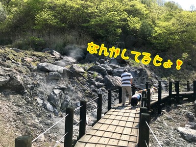 D58B25F3-B175-42A4-B0A9-8F9911012B37