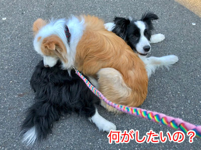 D3659496-C5CB-469D-9385-35BDD06FD10E