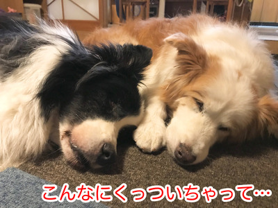 36505552-39BF-40A7-B721-A207D5CB3A86