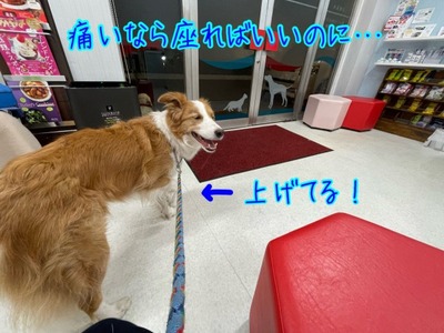 AE1C554A-C3BF-4DC6-9B55-D1280A8945F0