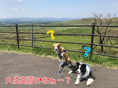 1A4F571D-6015-4DCB-94F3-EF4077FFFC4B