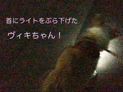 4966EBD1-59CA-45E1-9BED-4941C7DFB81E