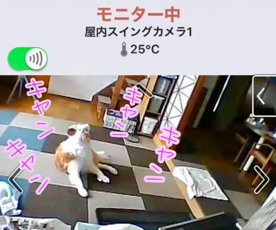 16CF5F03-5271-4E04-AE67-3585FA2F26BD