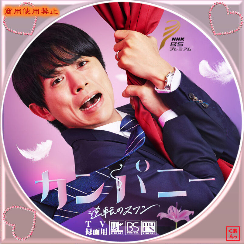カンパニー 逆転のスワン DVD BOX