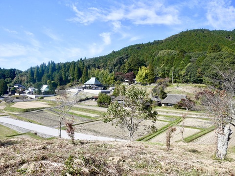 備前市八塔寺1