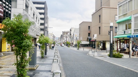 奈良市　道路　歩道2