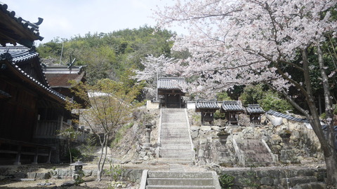 2019年4月11日　大内神社　桜