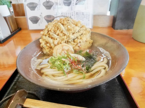 備前市　うどん　しのはら　観音寺うどん