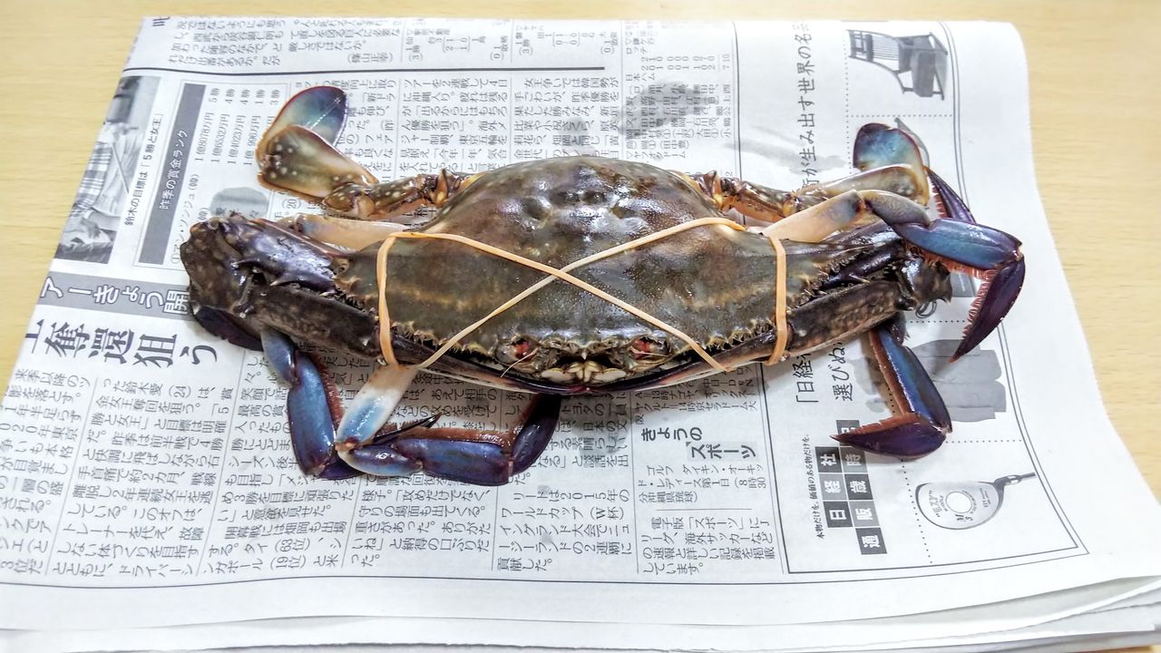 魚屋さんに行ったらワタリガニがあったので ワタリガニのトマトクリームパスタ作ってみた Akkyの２拠点生活奮闘記