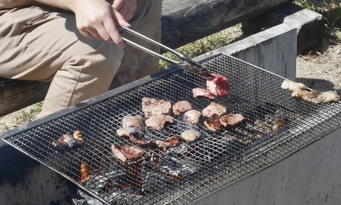 BBQ　ハラミ