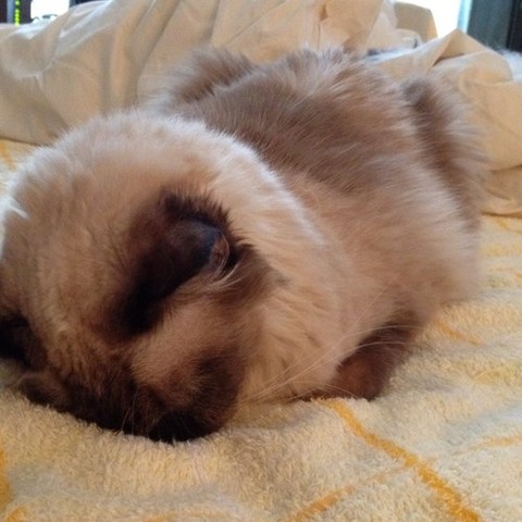 e93c624fa0a1f216904c791ade8148b3