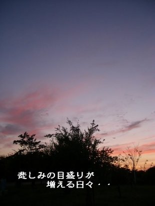 Photo_12