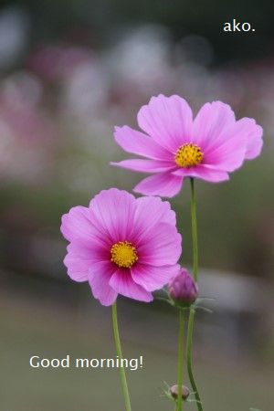 〇亀岡IMG_2477