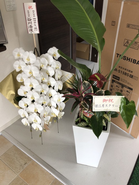 お花