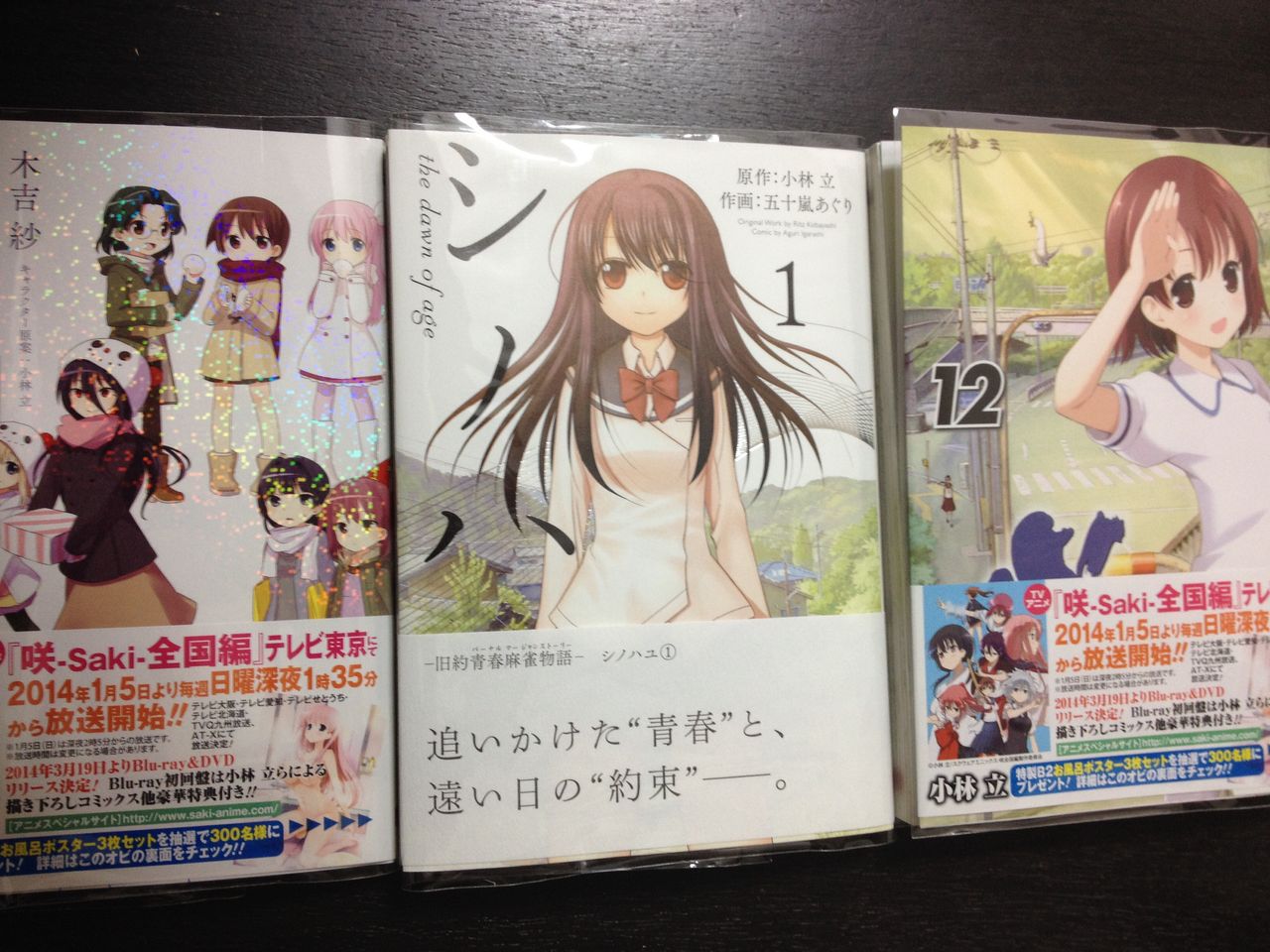咲 Saki シリーズ3冊を購入 あこしず日和 咲 Saki シリーズ3冊を購入 あこしず日和