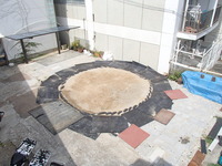 P8010151