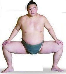 四股の話 大河シリーズその 6 踏み方ハウツー あなたの道場 あこう堂 日記