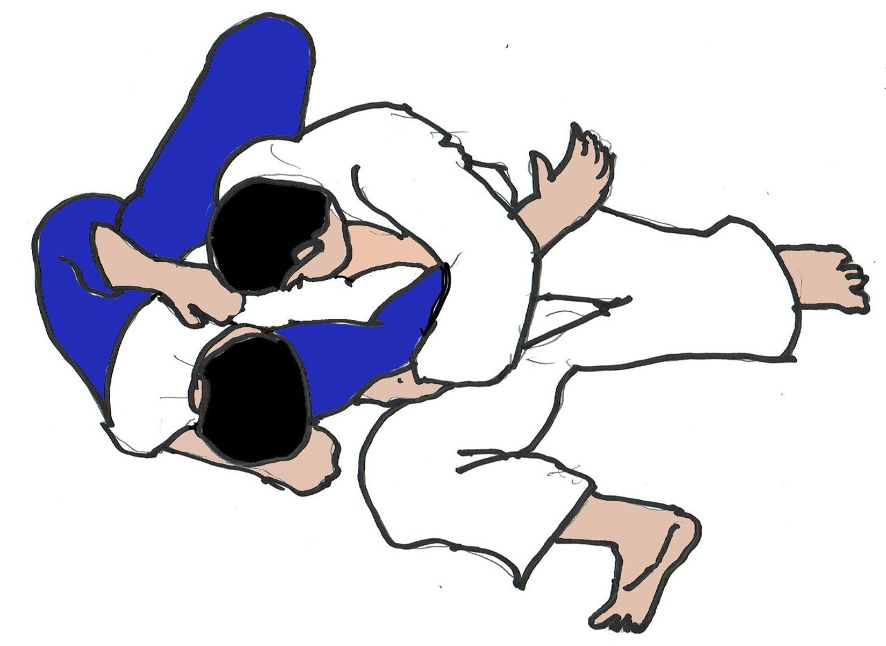 追加業務の話 古流柔道紹介英語版と追加イラスト あなたの道場 あこう堂 日記