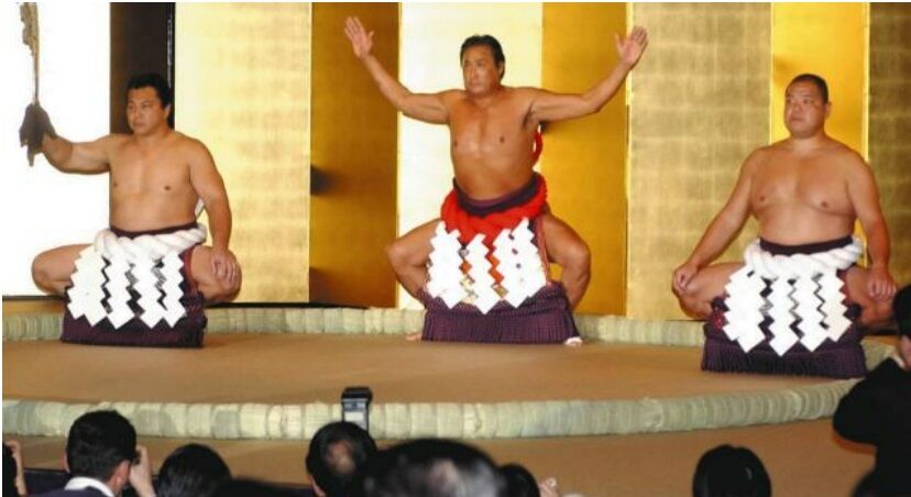 あなたの道場♪「あこう堂」日記:千代の富士再現計画<5>千代の富士の体の変遷
