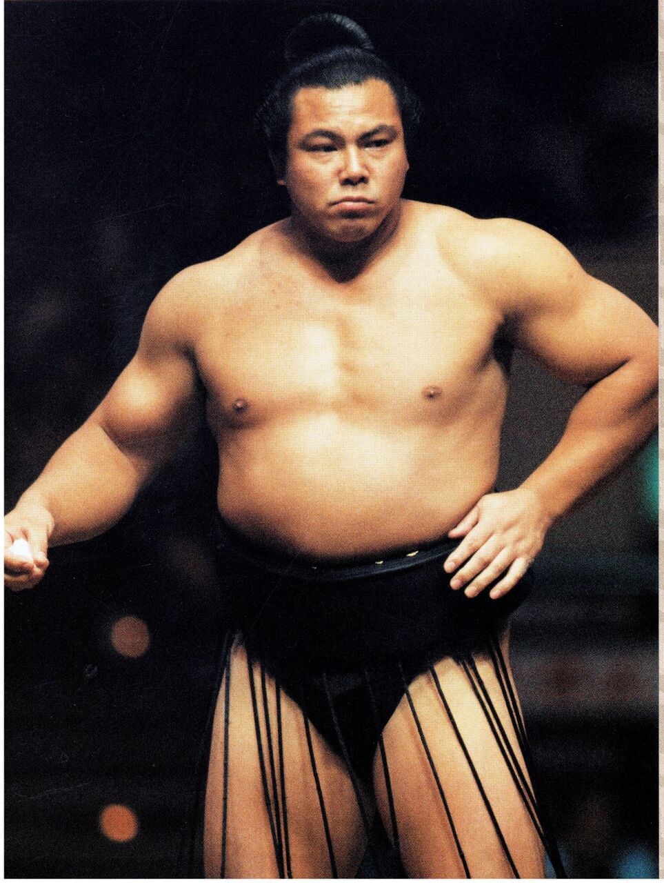 あなたの道場♪「あこう堂」日記:千代の富士再現計画<5>千代の富士の体の変遷