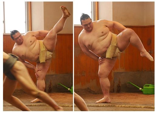 四股の話 大河シリーズその 四股の効用 あなたの道場 あこう堂 日記 四股の話 大河シリーズその 四股の効用 あなたの道場 あこう堂 日記