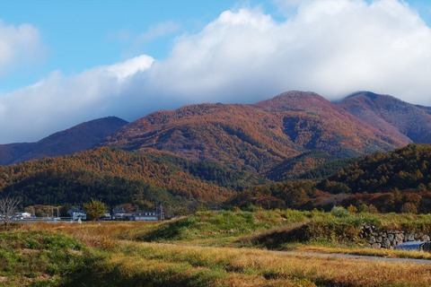 思い出の山・紅葉す