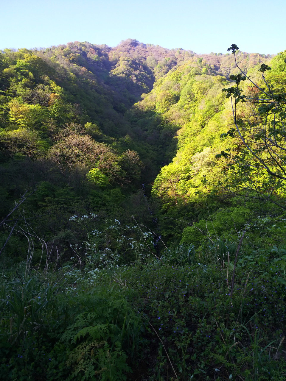 19 5 4 犀川ダム 大倉山 改め釣りと山菜取り 悪童倶楽部blog 19 5 4 犀川ダム 大倉山 改め釣りと山菜取り 悪童倶楽部blog