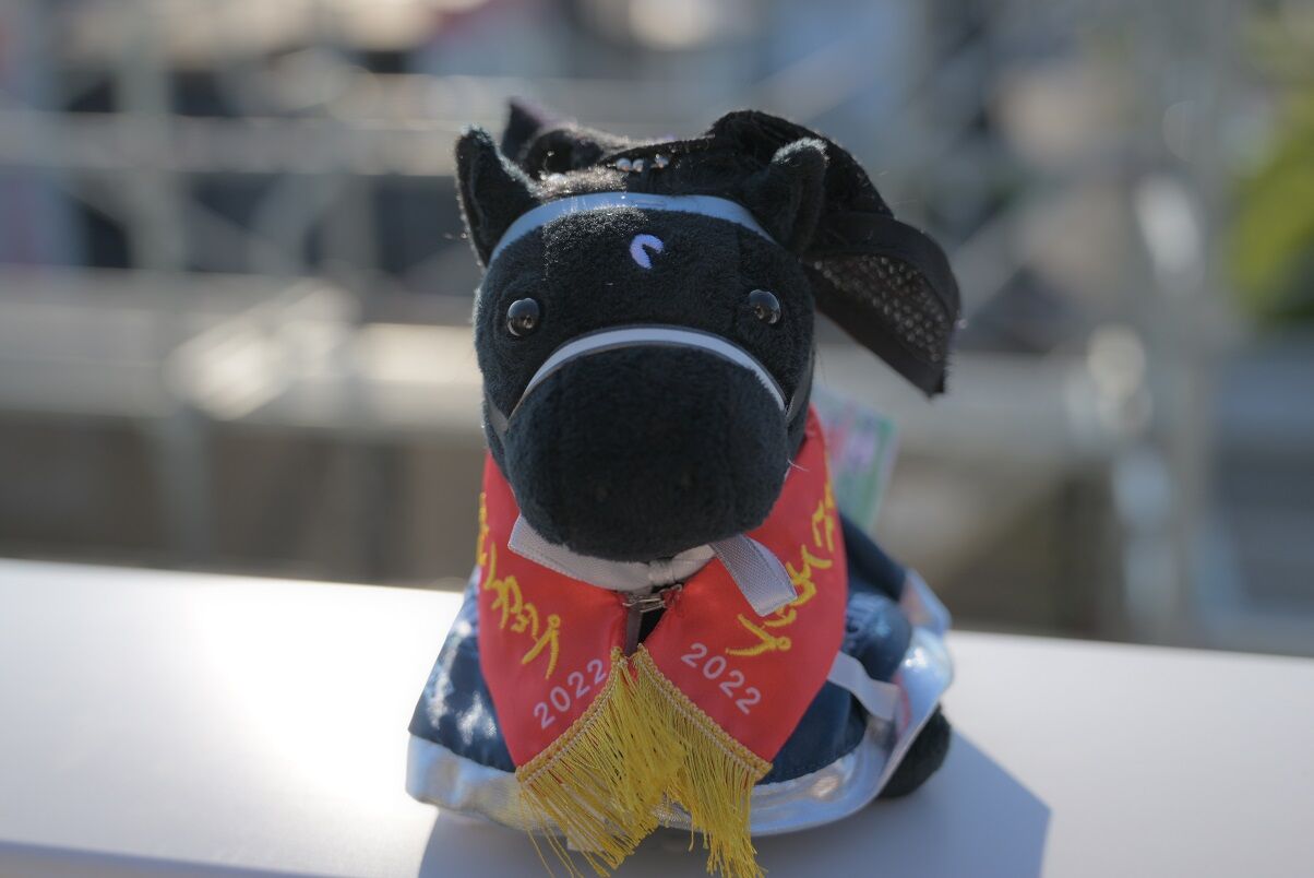 ヴェラアズール号 アイドルホース ～クラブ限定バージョン～ が来た