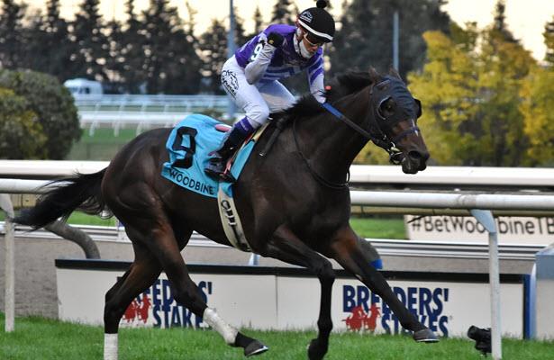 カナダでも三冠馬誕生か 隻眼馬と日本人騎手 週末限定 15時からの中央競馬 カナダでも三冠馬誕生か 隻眼馬と日本人騎手 週末限定 15時からの中央競馬