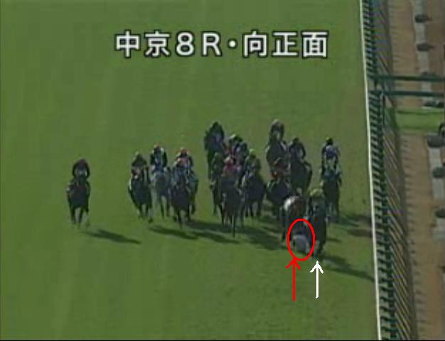 佐藤哲三騎手が落馬負傷 こりゃ酷いね 週末限定 １５時からの中央競馬