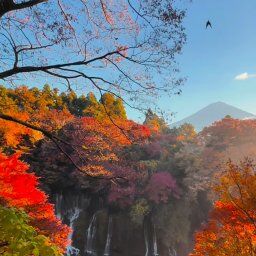 海外「日本だけ反則だろ…」 日本の秋が嘘みたいな美しさだと世界的な話題に