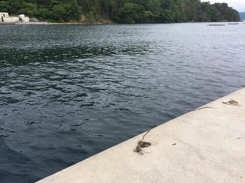 【画像】曇りだけど東北で海釣り