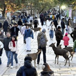 中国人観光客減、日本のインバウンド需要に影響なし 消費額の多い欧米豪の訪日客が増加したため