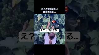 日本で見かけた”衝撃の瞬間"。#shorts #記録映像 #日本の光景