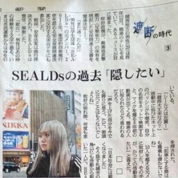 【悲報】元SEALDsメンバーさんの現在www