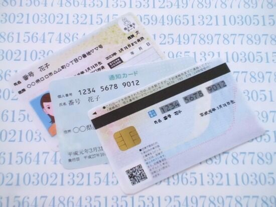 給付金10万円のオンライン申請、パスワードを規定回数間違えてロックされたら役所いかないと解除無理