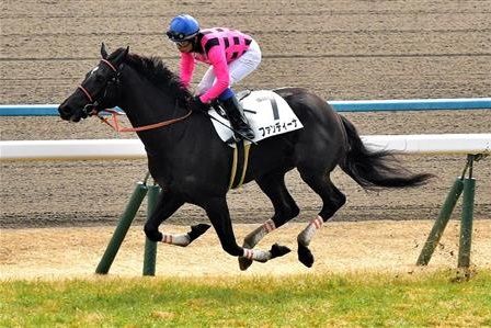 【競馬】9/17(日) ローズステークス(GII)2017枠順確定キターーー！ファンディーナ8枠17番！リスグラシュー3枠6番など全枠順がこちら