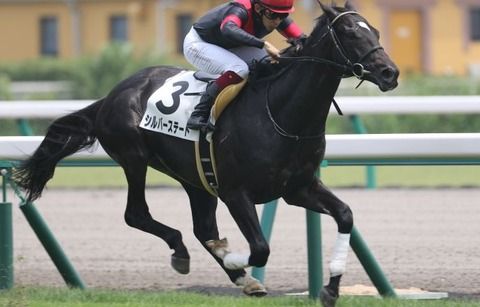 【競馬】屈腱炎シルバーステートさん、種牡馬にならずまだ復活目指すwwwwwww