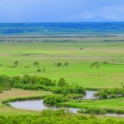 【釧路湿原周辺にメガソーラー(パネルは全て中国製】事業者が地元町内会に200万円支払い提案→町内会、拒否 北海道庁は計画書を受理、あすにも着工