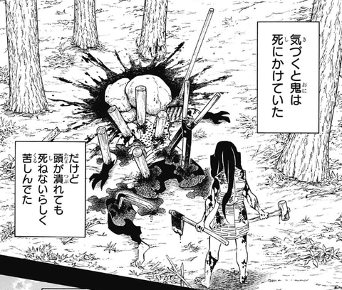 鬼滅の刃 日の呼吸の血族と ヒノカミ神楽と耳飾りを継いでいく血族とを分けた理由って何だろうね 漫画まとめ うさちゃんねる