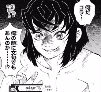 【鬼滅の刃】誰かの嫁にしては惚れっぽすぎる気がするが e9a96a19 - 【鬼滅の刃】誰かの嫁にしては惚れっぽすぎる気がするが