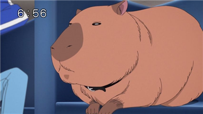 【ワートリ】アニメ 第四十七話「隊長のプライド」 63d8e063 - 【ワートリ】アニメ 第四十七話「隊長のプライド」