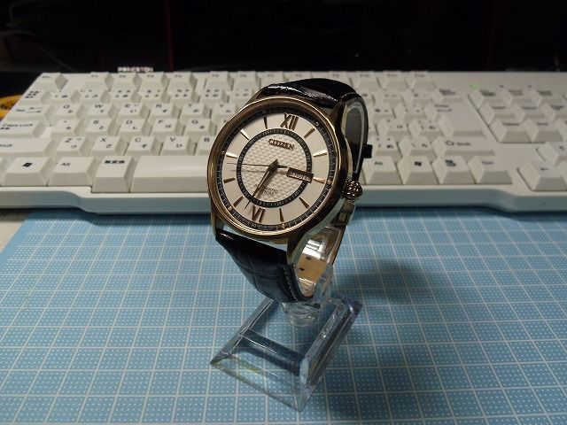CITIZEN (シチズン) SAPPHIRE (サファイア) NH8323-01A の紹介です 