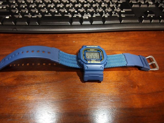 CASIO (カシオ) G-SHOCK (Gショック) DW-5600E の紹介