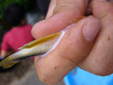 04257fdc.JPG