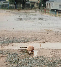 竹田小学校運動場