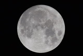 中秋の名月・満月