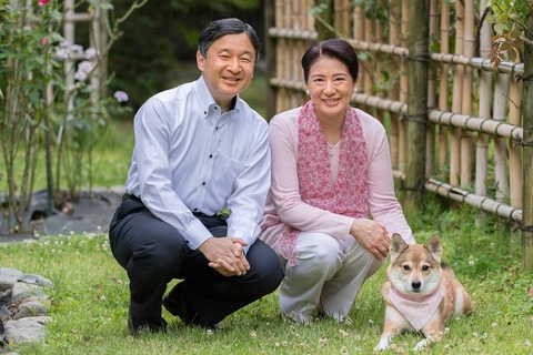 img_86dc8f638ae99372ed0f2b6561d91d7d137038